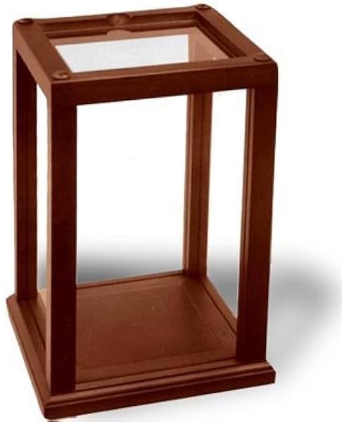 doll cases glass domes