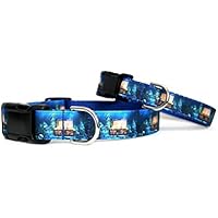 Sunken Treasure Dog Collar