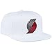 NBA Men's ZNE Flat Brim Snapback Cap