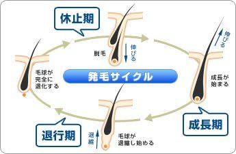 Amazon リバイブヘアーex Ver 5 育毛 養毛 増毛 通販 Amazon リバイブヘアーex Ver 5 育毛 養毛 増毛 通販