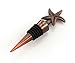 Inkfish and Co. Decorative Starfish Poem Story Wine Bottle Stopper Antique Copper with Burlap Gift Bag New Larger Card
