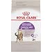Royal Canin Appetite Control Spayed/Neutered Dry Adult Cat Food, 6 lb. bag primary