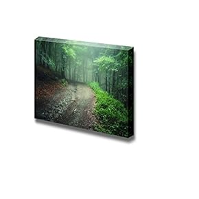 Beautiful Scenery Landscape Road Trough a Green Forest...