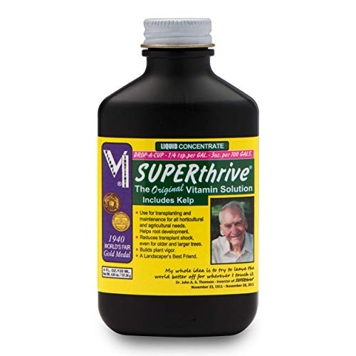 Top 10 Vitamin B1 for Plants of 2021 Just Top Ten
