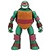 Teenage Mutant Ninja Turtles Head Droppin' Raphael Figure Action Figure