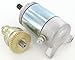 Starter and Bendix Drive Polaris UTV ATV Scrambler Sportsman 325 330 400 450 500 3084981