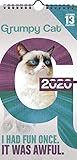 Grumpy Cat 2020 Mini Poster Calendar by 