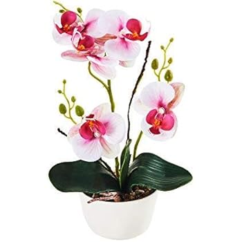 Imiee Silk Flowers with Pot 31cm in Height Artificial Orchid Phalaenopsis Arrangement Flower Bonsai with Vase for Room Table Centerpieces-H:12