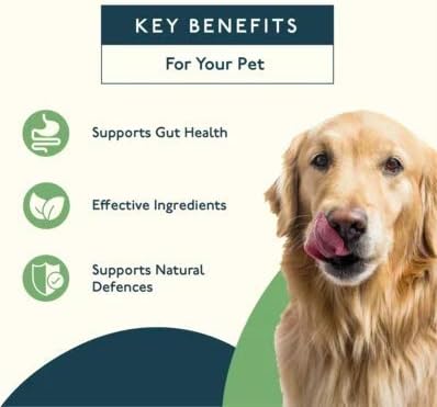PetLab Co. Probiotics for Dogs Support Gut Health, Occasional Diarrhea, Digestive Health & Seasonal Allergies, Salmon Flavor - Image 5