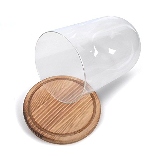 Reelva Decorative Clear Glass Cloche Bell Jar Display Case (D12.5cmH20cm)