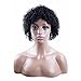 Befunny Curly Wigs for Black Women Short Jerry Kinky Afro Human Hair Wigs For Women Soft Fluffy None Lace Black Hair Wigs (1B#)