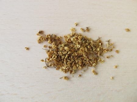 Elder Flowers Cut and Sifted 100% Fresh C/S 1 oz. Bag