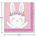 Bunny Party Birthday Party Supplies Kit, Serves 8