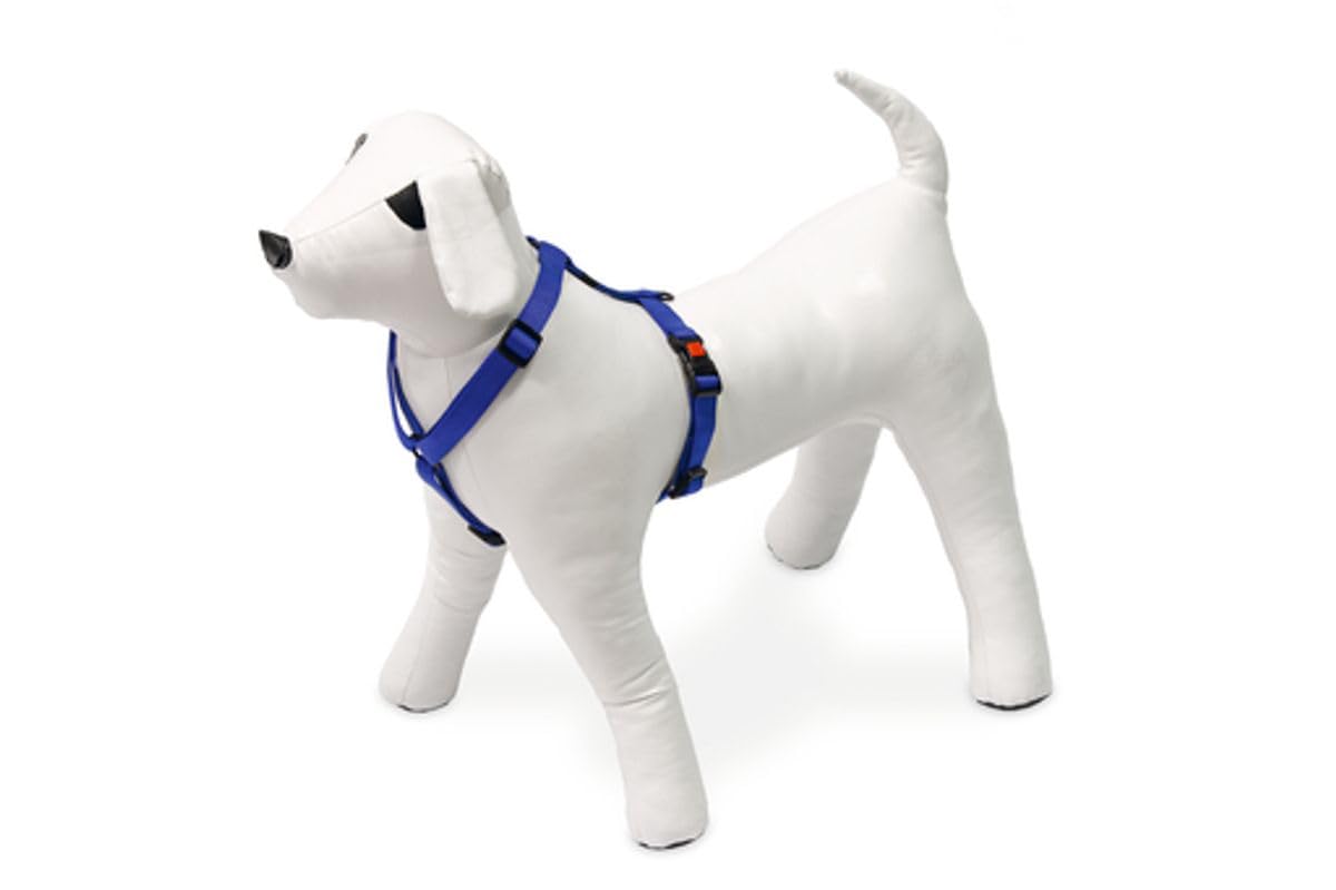 Karlie Art Sportiv Plus Harness Universal Colours Mix and Match B: 10 mm Br um: 25-40 cm XS Blue