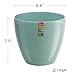 Santino, Self Watering Planter Deco 8.8 Inch, Jade, Indoor Decorative Flower Pot with Drainage Cartridge and Water Level Indicator