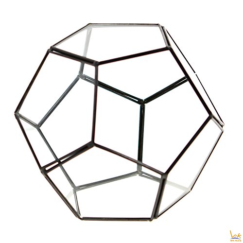 WK Home Glass Terrarium Pentagon, Black Regular Geometric Container Sphere Terrarium Desktop Planter for Air Plants