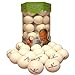 Almost Golf 36 Practice Ball Refill Pack - White