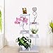 C-Easy 6 Tiers Plant Stand Rack – Balcony Flower Pots Stand Shelf – Display Stand Planter Shelves – Plants Shelf Unit Holder for Outdoor, Indoor, Garden Plants Flower (White)thumb 1