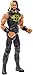 WWE Seth Rollins 12