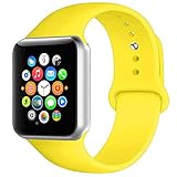 BOTOMALL Compatible with Iwatch Band 38mm 40mm 42mm 44mm Classic Silicone Sport Replacement Strap Bracelet for Iwatch All Models Series 4 Series 3 Series 2 Series 1 (Pollen Yellow,42/44mm S/M)