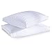 puredown Goose Feather Down Pillows, Embossing Bed Pillows for Sleeping with 2 Outer Protectors, Hotel Standard/Queen Pillows Set of 2 (Pack of 2)