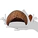 SunGrow Betta & Dwarf Frog 5 x 2 Inches Coconut Shell Aqaurium Cave & 50 Pcs Mini 2