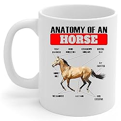 Lovesout Funny Buckskin Horse Anatomy Chart Coffee