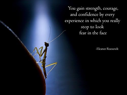 Eleanor Roosevelt Quote Poster 18x24 (ER6)