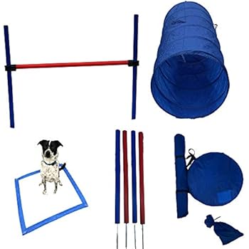 Reggie's Dog Agility Equipment Set Featuring Jump Bar, Weave Poles, Agility Tunnel, Rest Area, and Agility Training ebook (One Jump)