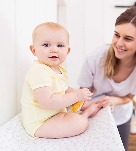 3 Burts+Bees+Baby+Changing+Standard