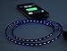ENAPY Visible Flowing LED Light Up Noodle Data Sync & Charging Cable, Black/Blue