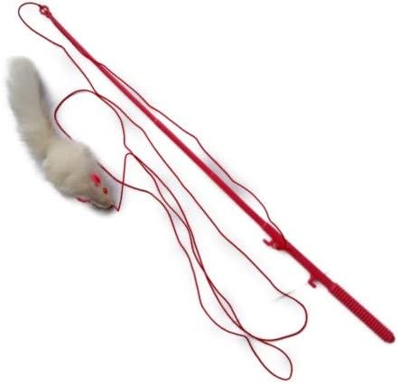 cat string toy