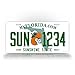 Plate Any Text Customized Personalized Auto Tag Sign 6x12 Sunshine State