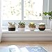 Mkono 3 Inch Mini Concrete Succulent Pots, 4 Pack Cement Cactus Planters Small Clay Indoor Herb Window Box Container (Plants NOT Included)