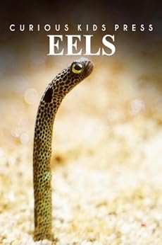 Eels Curious Kids Press Kids Book About Animals And