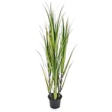 PierSurplus 4 ft. (48 in.) Decorative Artificial Plant Sugarcane w/Black Pot Product SKU: HD222550