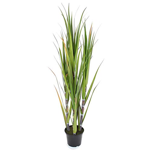PierSurplus 4 ft. (48 in.) Decorative Artificial Plant Sugarcane w/Black Pot Product SKU: HD222550