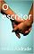 Livro O escritor