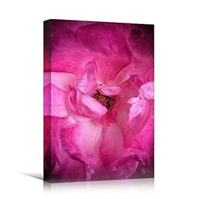 signwin Canvas Wall Art Pink Petal Closeup Bedroom...