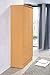 HODEDAH 2 Door Wood Wardrobe Bedroom Closet with Clothing Rod inside Cabinet and 2 Drawers for Storage, Beech