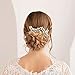 Venusvi Bride Wedding Crystal Hair Pins Rhinestone Bridal Hair Pieces Wedding Hair Accessories for Women and Girls (Pack of 2) (Gold)