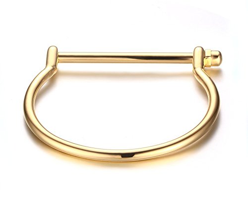 Stainless Steel D Shape Bar Screw Shackle Horseshoe Novelty Fashion Bangle, Unisex,Gold Plated