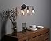 Phansthy 3 Light Industrial Wall Sconce Black Sconces with 5.6 Inches Dome Shape Clear Glass Shade for Bathroom Vanity Mirror, Black