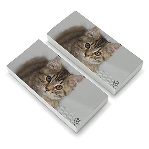 Shorthair Tabby Kitten Cat Computer Mouse Keyboard Eraser Set of 2