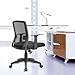 Office Chair Ergnomic Desk Chair Adjustable Computer Chair Executive Mid Back Rolling Swivel Chair with Lumbar Support Armrest Mesh Task Chair for Women Adults, Black
