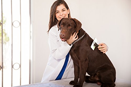 Pro Slicker Brush for Dogs and Cats - Pet Grooming Dematting Brush Easily Removes Mats and Tangles from the Pet's Coat - Works as an Undercoat Rake for Loose Fur - For Long and Short Haired Pets