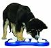 Nina Ottosson DogFinder Interactive game