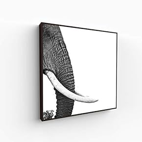 Canvas Wall Art for Living Room, Bedroom Portrait Framed Canvas Prints for Home Decoration Ready to Hang - 16x16 inches