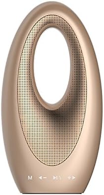 QITECO Fashion Portable Wireless Bluetooth Speaker with FM Radio, Build in Mic TF Card, Support AUX to be Subwoofer for Home Laptop, IPAD, Smartphone (Gold)