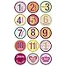 Belly Banter Baby Monthly Stickers for Girl - Baby by Month Growth Stickers for Clothing and Baby Scrapbook Keepsakes Stickers - Great Baby Shower Gift and Baby Room Stickers
